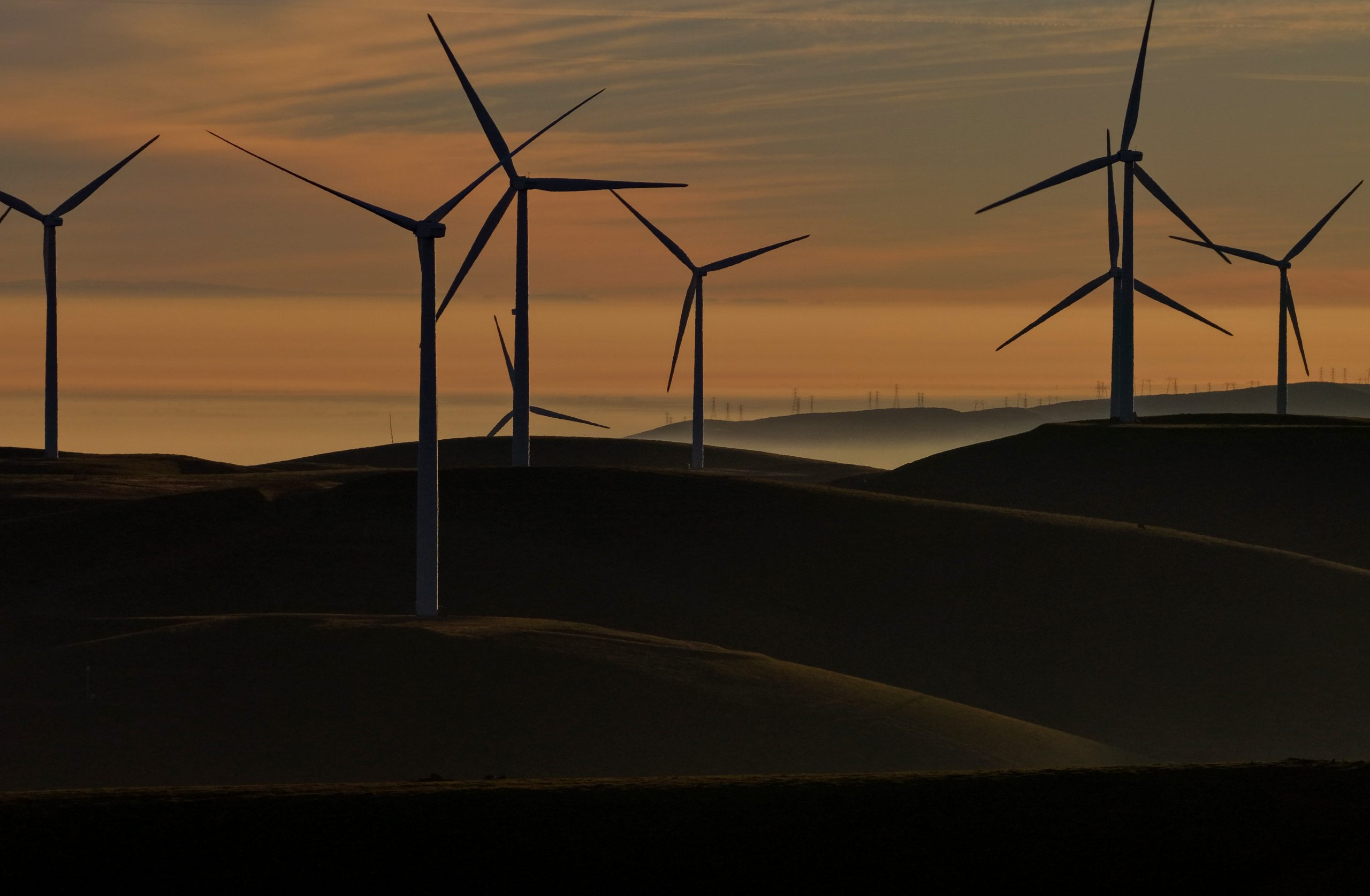 Critics hammer Trump admin’s ‘taxpayer funded bribe’ to kill massive wind energy project